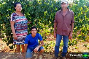 De alternativa à renda principal de produção de maracujá em Paranaíba