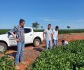 Fundação chapadão volta a comprovar a grande possibilidade do desenvolvimento da soja em Paranaíba em 2020